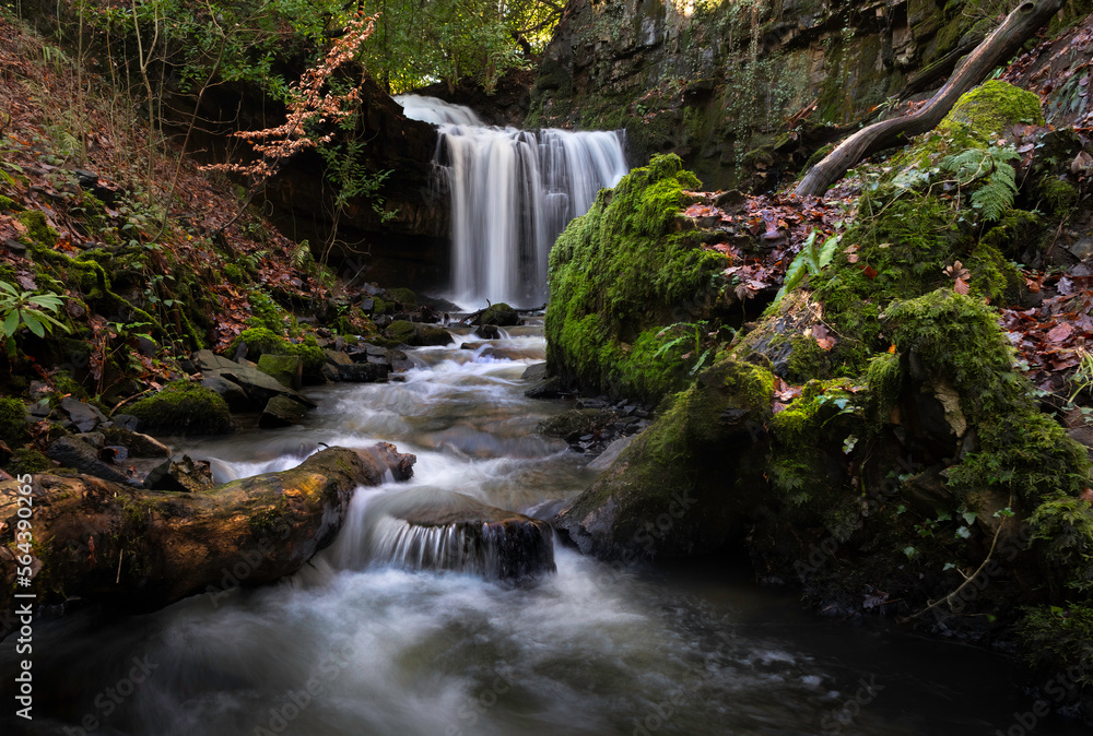 Longford waterfall