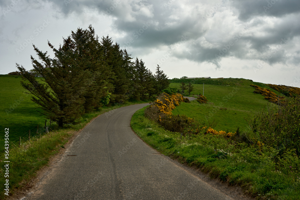 A road in the green hills of Aberdeenshire