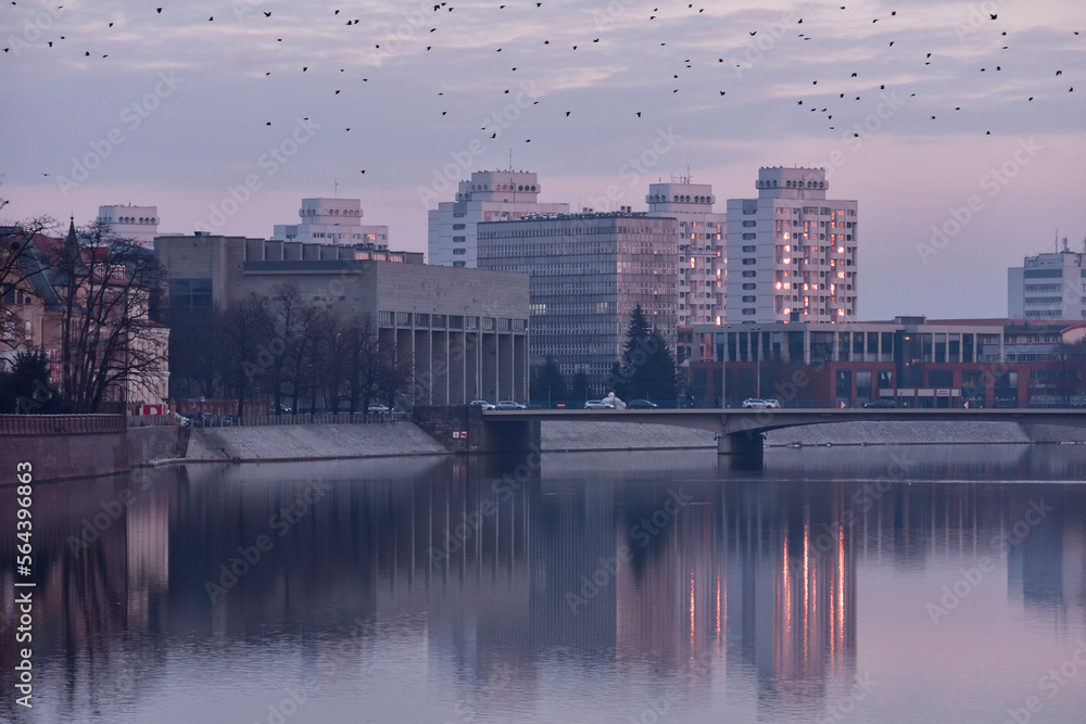 Wrocław - ptaki nad miastem