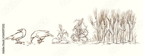 Konstfotografi Pencil drawing. Field of ripe wheat