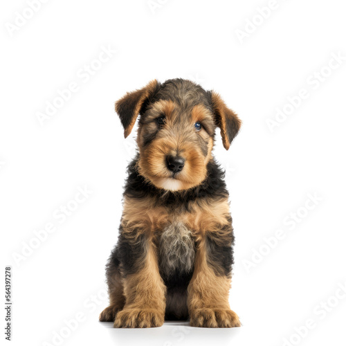 Adorable and cute purebred puppy looking at the camera. Generative AI © Gelpi