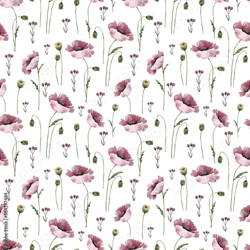 Seamless pattern with pink wild flowers poppies, watercolor illustration.   © Lana