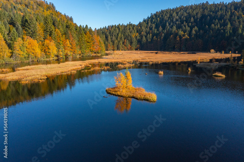 Le lac de Lispach (La Bresse / Vosges) en automne