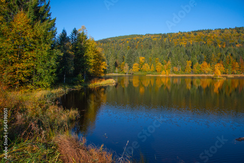 Le lac de Lispach (La Bresse / Vosges) en automne