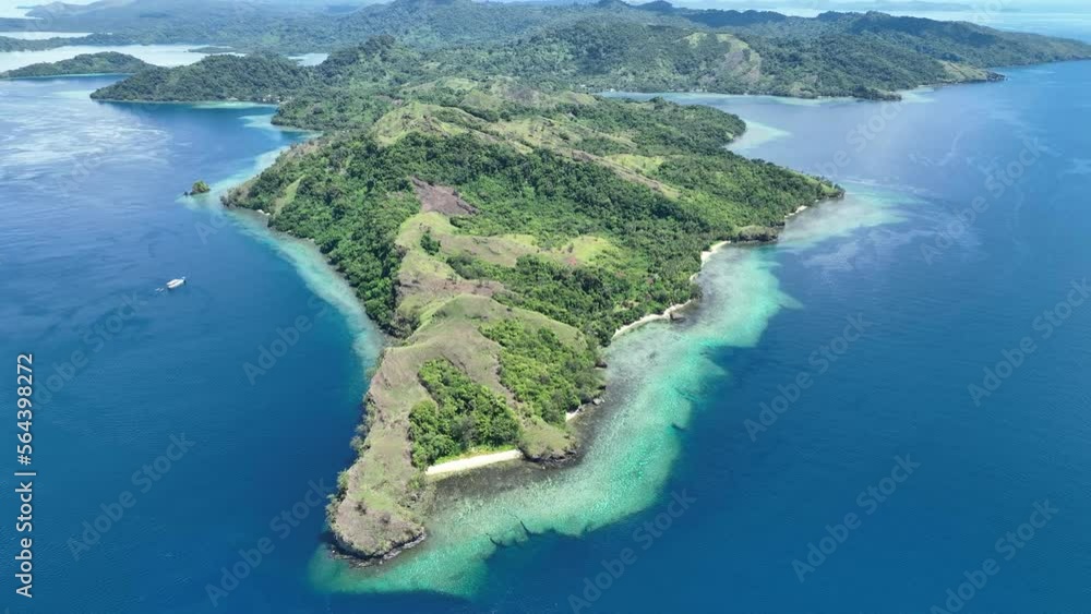 Healthy coral reefs fringe a lush island in the Solomon Islands. This ...