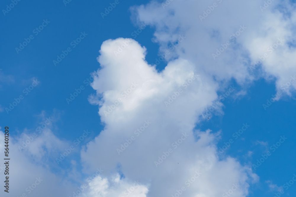 swallows fly in the blue sky against the background of clouds swallows fly in the blue sky against the background of clouds