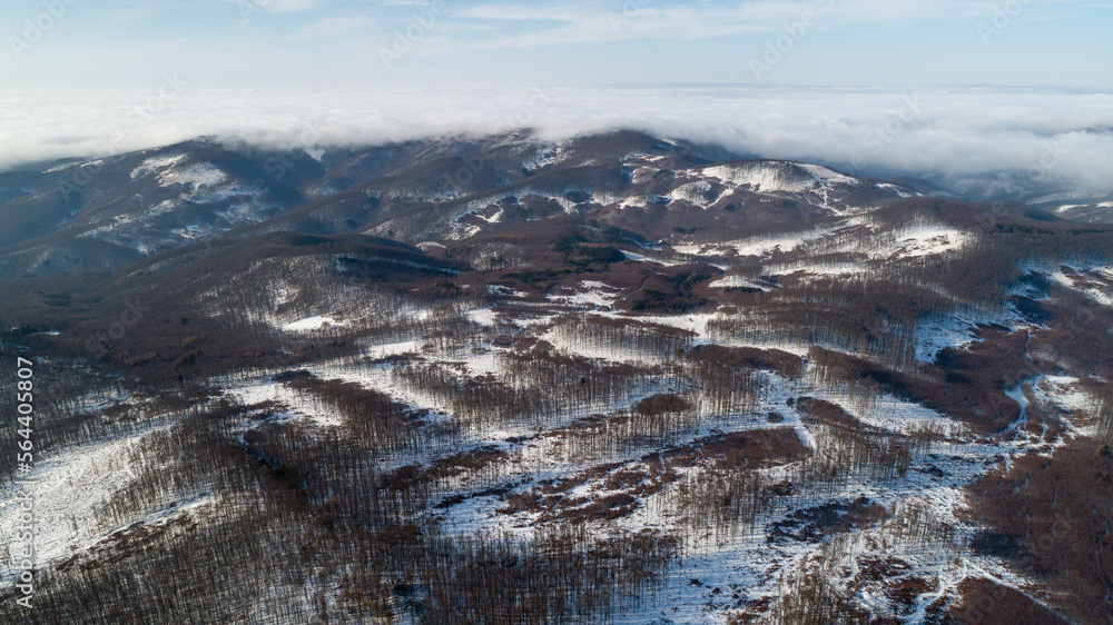 Aerial view of forests of Small Carpathian Mountains seen from Velka Homola in winter, Slovakia