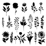 Vector Plant Silhouettes with forest Herbs and Flowers