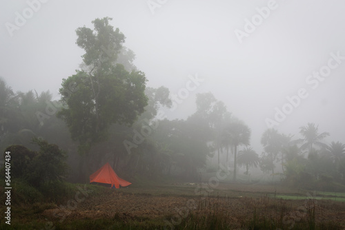 Mist  nature  winter  field  