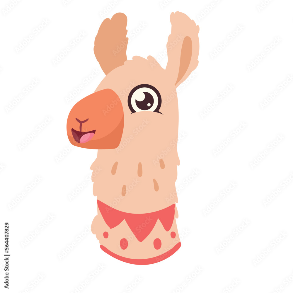 Fototapeta premium llama perubian animal head