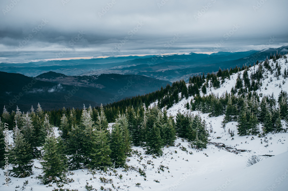winter mountain landscape Ukrainian Carpatians