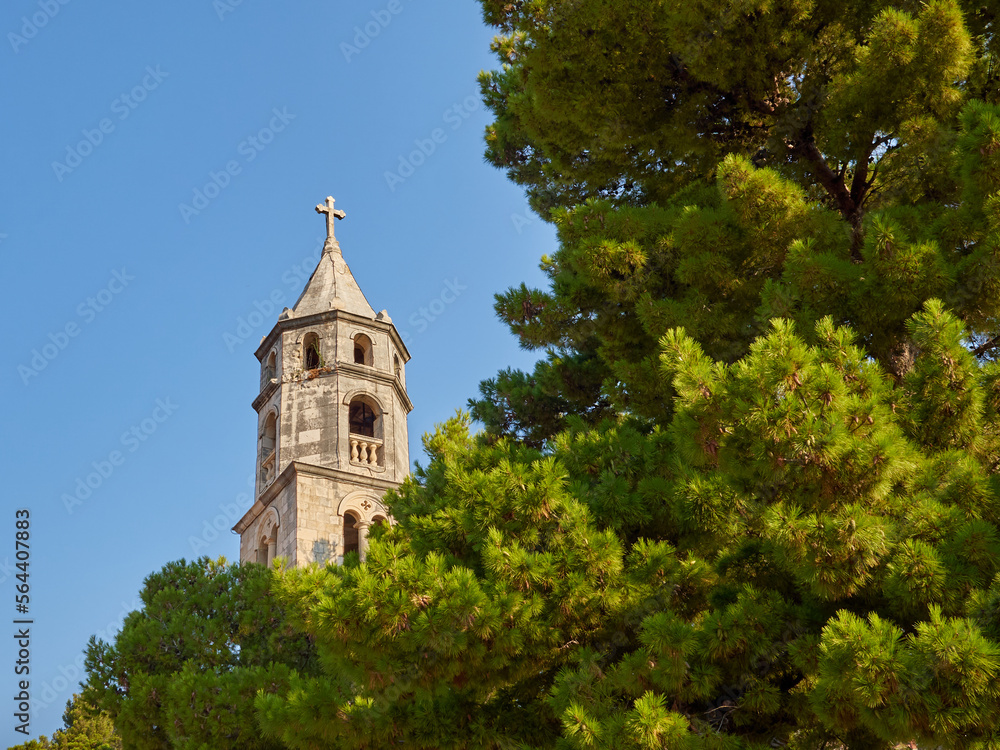 Tower of the Church and Monastery of Our Lady of the Snow with a big tree in the  forefront. Cavtat, Croatia, Europe