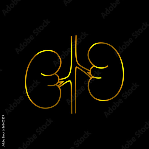 Human anatomy. Kidneys sign. Golden color. Urogenital system. vector illustration
