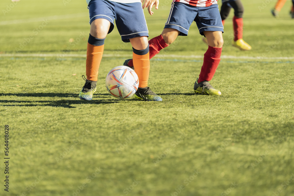 youth football match image half lower body. concept sport youth football match image half lower body. concept sport