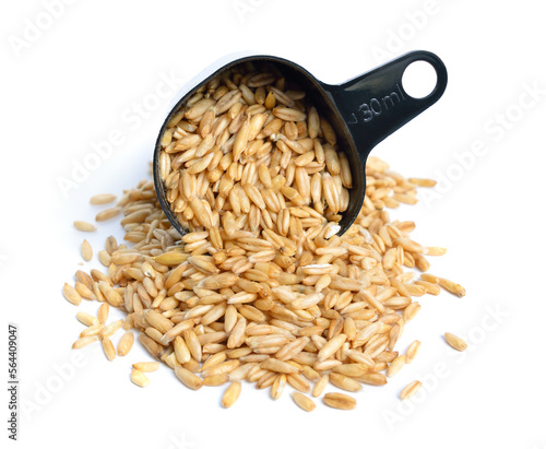 Oats grains without without husk isolated on white background
