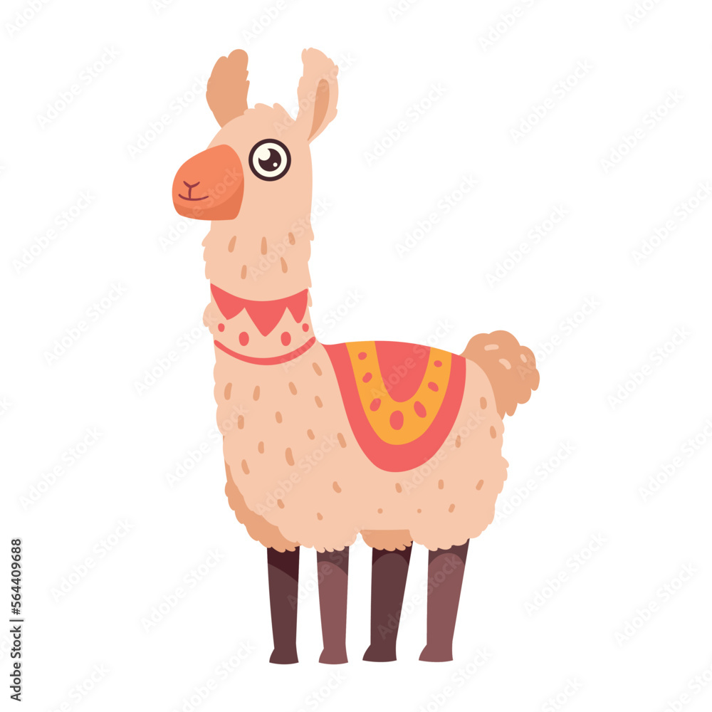 Fototapeta premium perubian llama standing