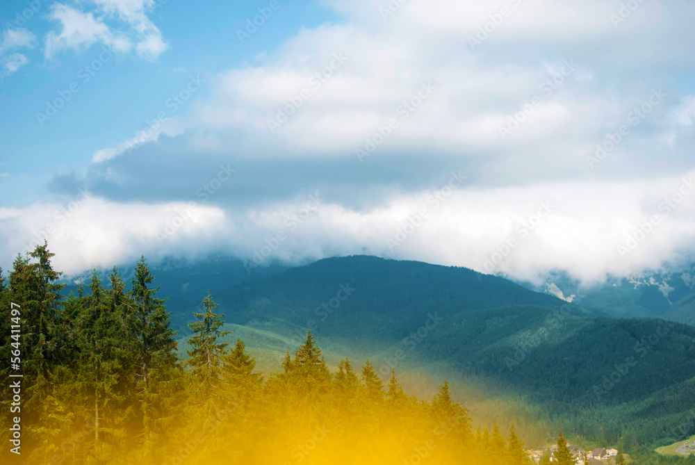 Green mountains covered with green grass and coniferous forests with yellow big bokeh. Summer landscape of pine forest in the Carpathians. Natural summer background