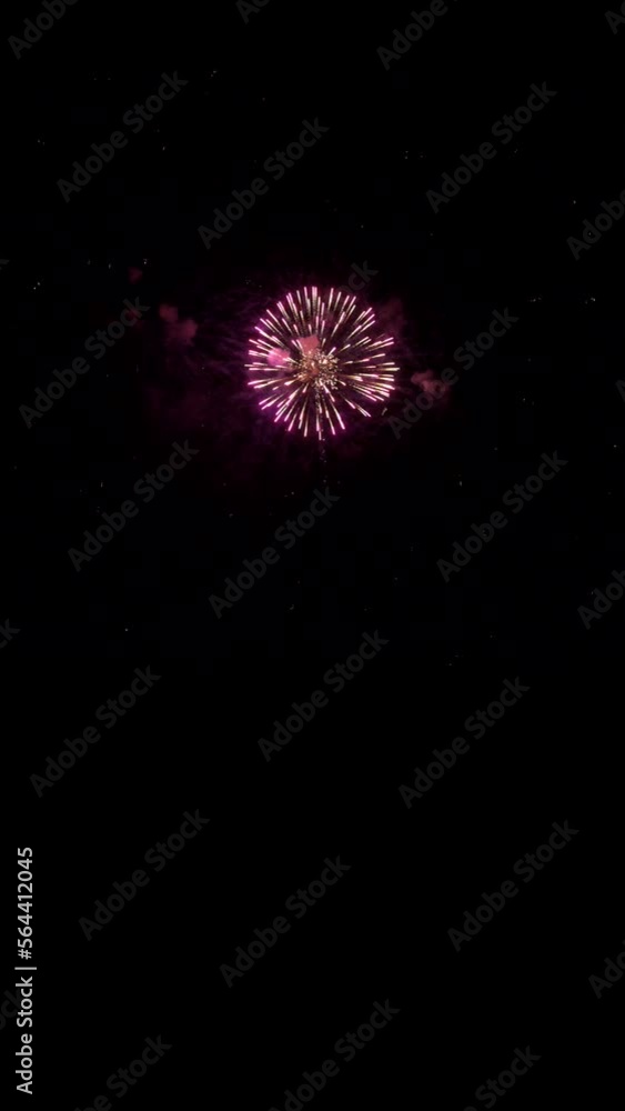 Quality vertical video of beautiful salute fireworks Quality vertical video of beautiful salute fireworks