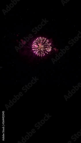 Quality vertical video of beautiful salute fireworks