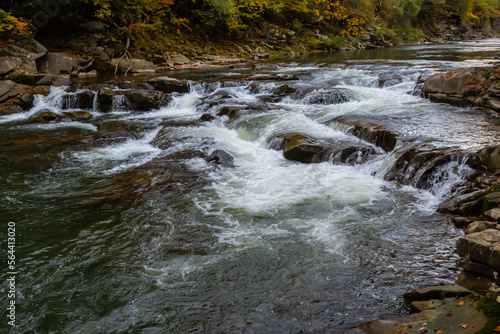 Waterfall and forest stream in the Carpathian mountains. Ukraine. Europe