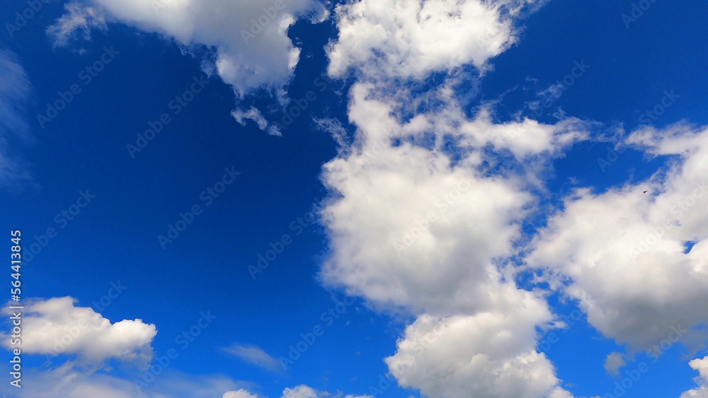 Fototapeta premium white clouds float in the blue sky