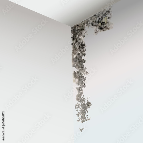Foto The image of black mold in the corner on the walls and on the ceiling, in vector
