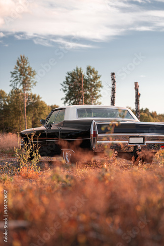 Old black and white american car in nature