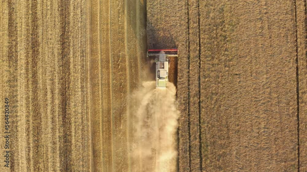 Aerial view of a combiner within a field. Yield gathering in harvest time during sunrise. High quality 4k footage Aerial view of a combiner within a field. Yield gathering in harvest time during sunrise. High quality 4k footage