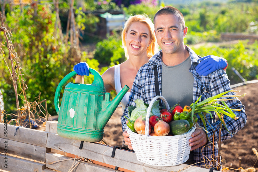 Fototapeta premium Portrait of happy smiling young couple of gardeners with wicker basket full of fresh vegetables in backyard on warm fall day.