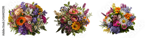 Flower arrangement or bouquet colorful spring flowers isolated on transparent background.