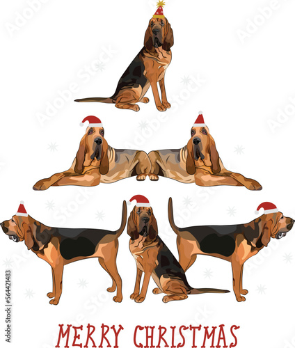 Bloodhound dogs wearing winter hats. Cute funny dogs. Abstract Christmas tree. Vector illustration. Merry Christmas greeting card with the cute funny dogs, holiday, purebred with happy eyes.