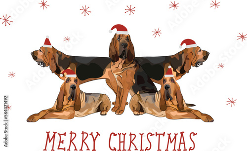Bloodhound dog drawing. Cute dog characters in various poses, designs for prints, adorable and cute Christmas Bloodhound breed cartoon vector set, in different poses in hats, smiling pet.