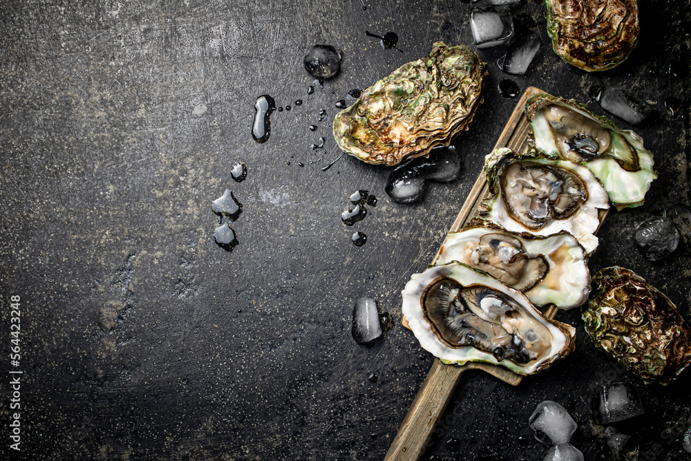 Fresh oysters with ice on a cutting board. 
