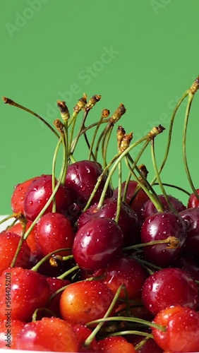 Vertical Screen: red cherries in water drops on a green background. Macro video, juicy berries isolated