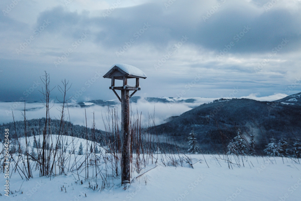 Fototapeta premium Bird feeder in winter snowy mountains