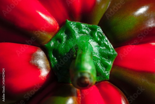 red and green pepper photo