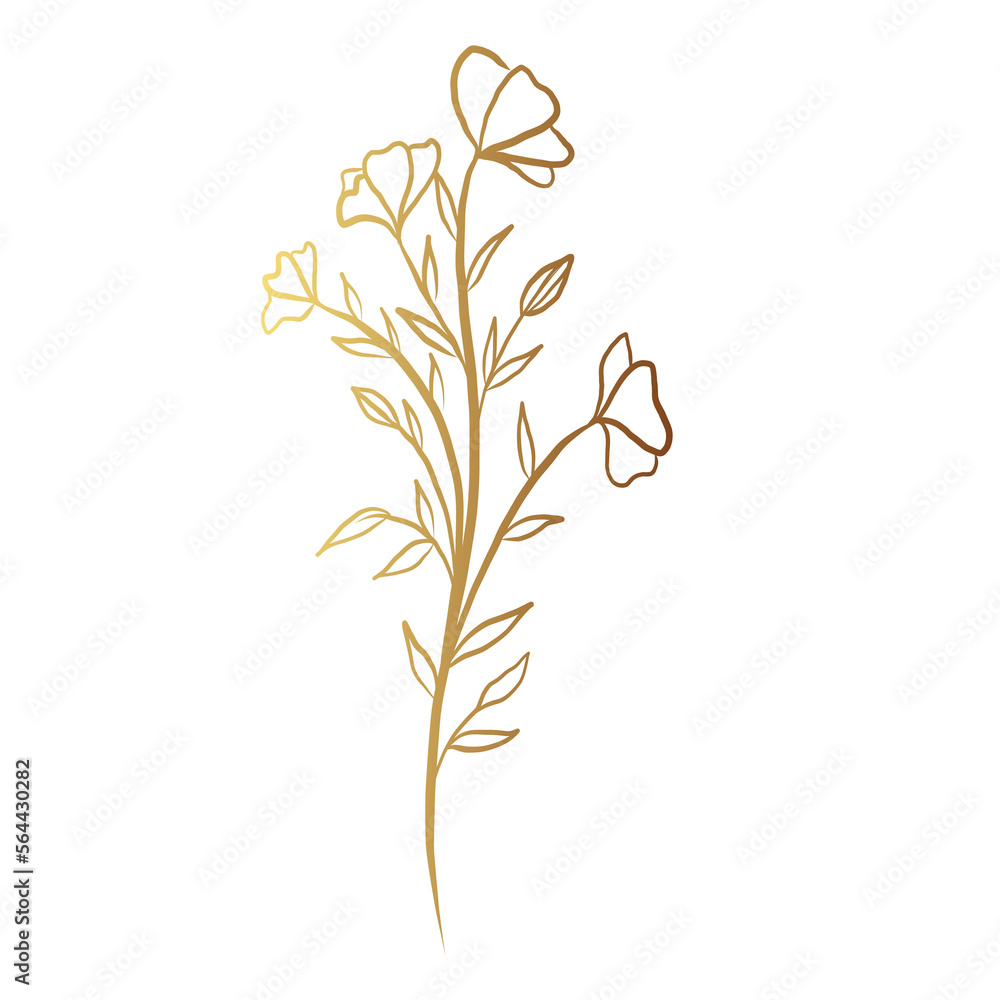 Fototapeta premium Gold flower line art