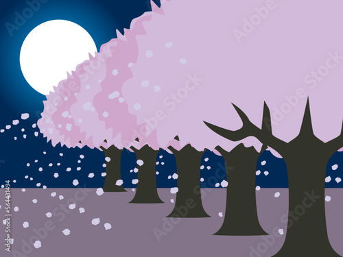 夜桜B2