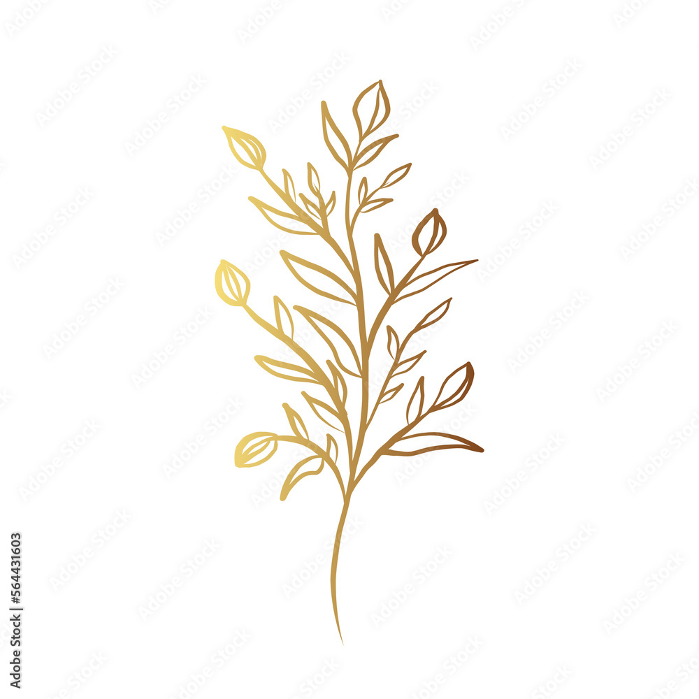 Fototapeta premium Gold flower line art