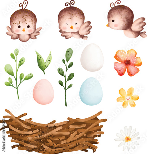 Watercolor Illustration set of bird and nest
