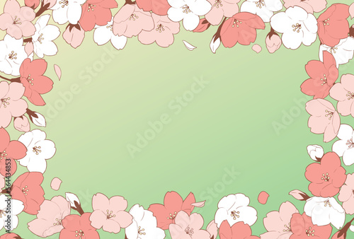 フレーム素材_桜