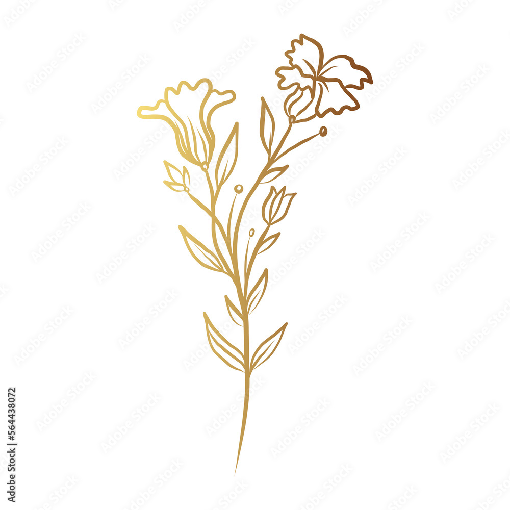Fototapeta premium Gold flower line art