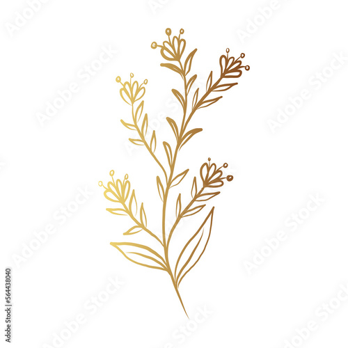 Gold flower line art 