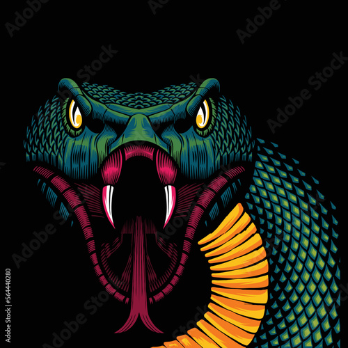 vector poisonous snake colorful tattoo concept