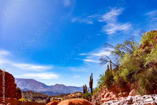 mountains of the argentine north of salta and jujuy in argentina photo
