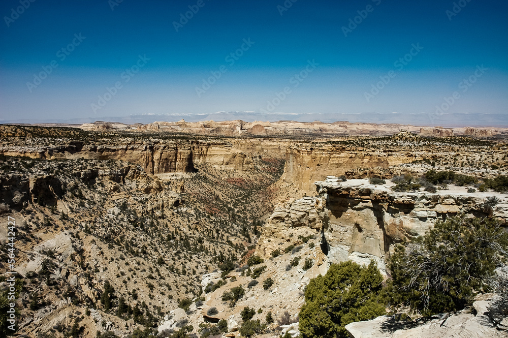 Looking Down Through a Canyon in the Desert Under a Clear Blue Sky