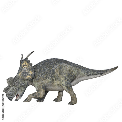 Achelousaurus isolated dinosaur 3d render © Blueinthesky