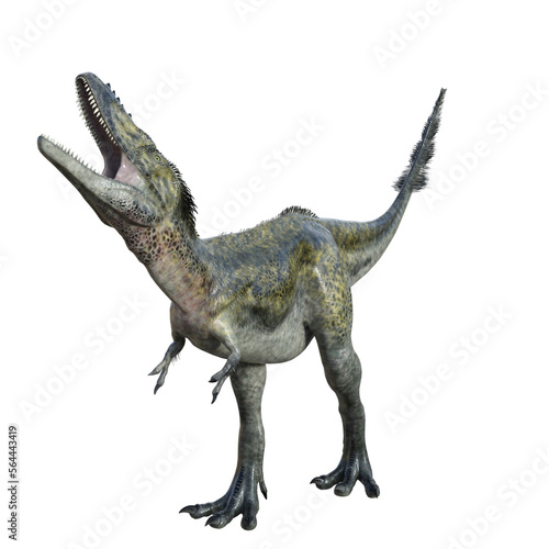 Alioramus isolated dinosaur 3d render © Blueinthesky