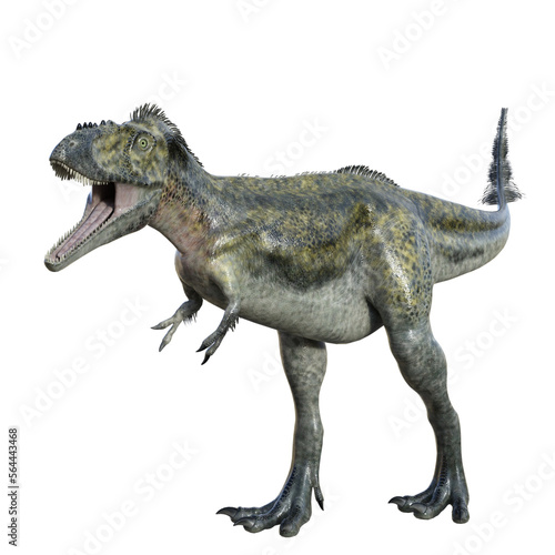 Alioramus isolated dinosaur 3d render