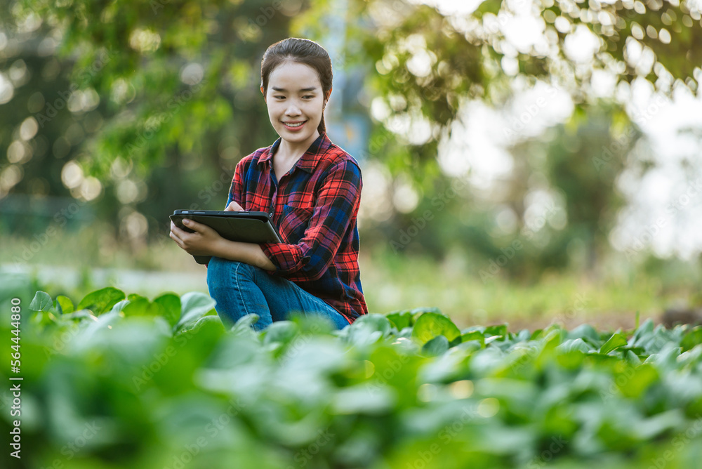 Female Agricultural use tablet working in organic vegetable farm Female Agricultural use tablet working in organic vegetable farm